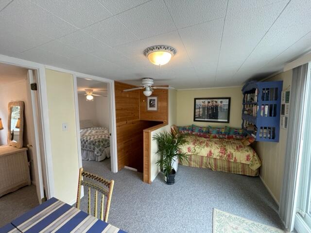 interior space featuring wood walls and carpet