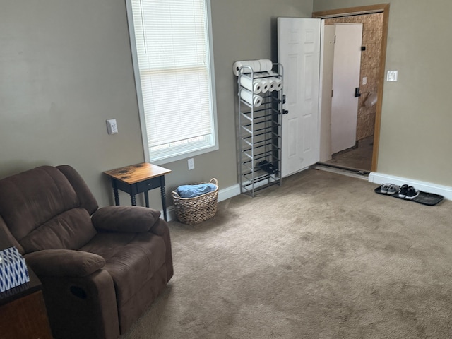 3140 Kitchen Rd, Cheboygan, MI 49721 - sitting room with baseboards and carpet floors
