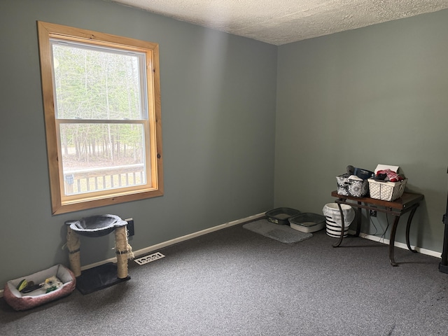 3140 Kitchen Rd, Cheboygan, MI 49721 - carpeted spare room with a textured ceiling, visible vents, and baseboards