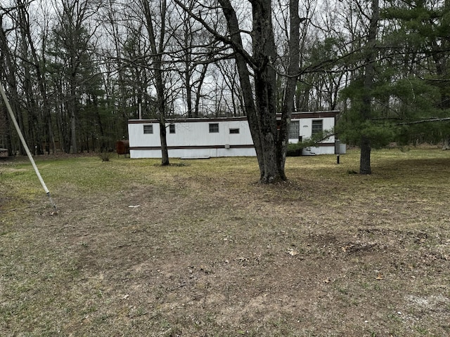 10675 N Shady Ln, Irons, MI 49644 - view of yard