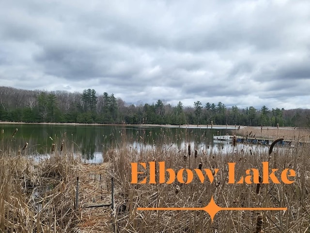 10675 N Shady Ln, Irons, MI 49644 - view of water feature featuring a forest view