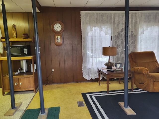 10675 N Shady Ln, Irons, MI 49644 - interior space featuring wooden walls and visible vents