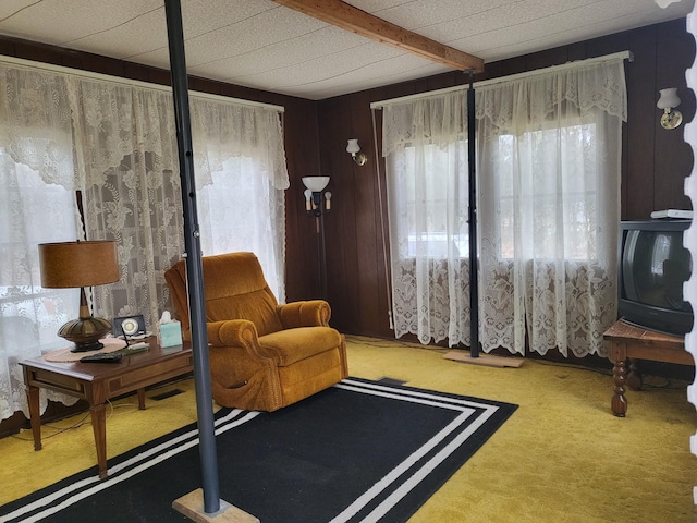 10675 N Shady Ln, Irons, MI 49644 - interior space featuring carpet flooring and a healthy amount of sunlight