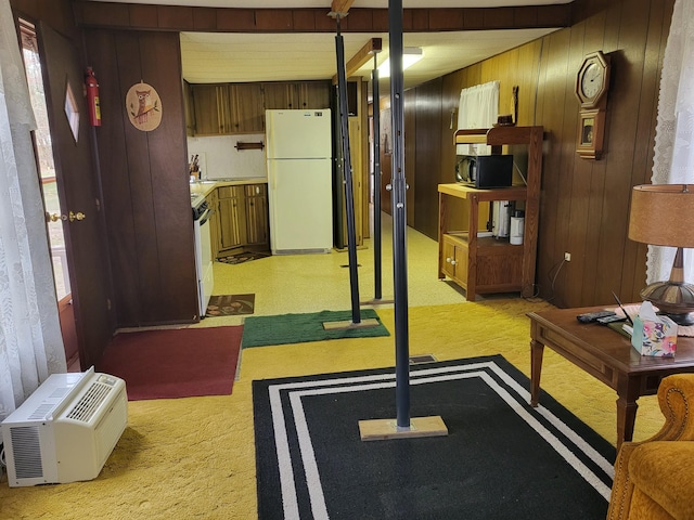 10675 N Shady Ln, Irons, MI 49644 - workout room featuring light colored carpet and wooden walls