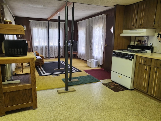 10675 N Shady Ln, Irons, MI 49644 - interior space featuring range hood, light carpet, light countertops, and white gas range oven