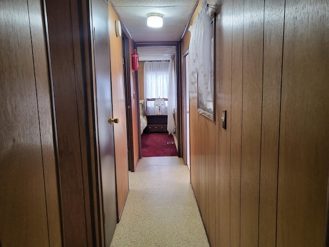 10675 N Shady Ln, Irons, MI 49644 - hallway with light colored carpet and wooden walls