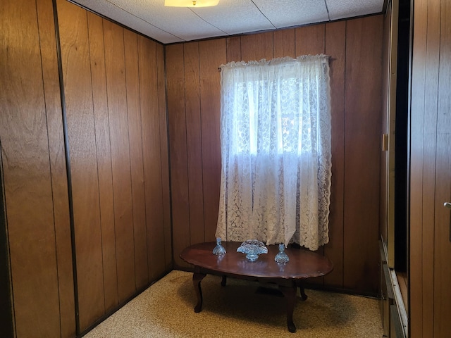 10675 N Shady Ln, Irons, MI 49644 - room details featuring wood walls and carpet