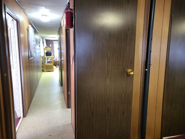 10675 N Shady Ln, Irons, MI 49644 - hallway with light colored carpet