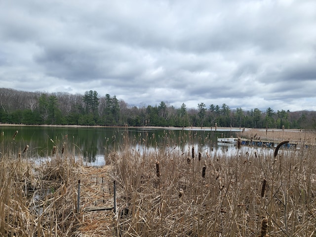 10675 N Shady Ln, Irons, MI 49644 - view of water feature featuring a wooded view