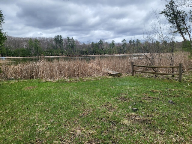 10675 N Shady Ln, Irons, MI 49644 - view of yard with a wooded view