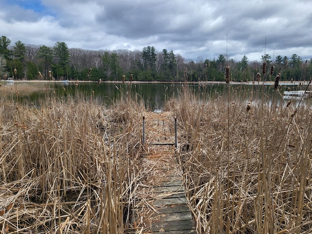 10675 N Shady Ln, Irons, MI 49644 - view of local wilderness featuring a wooded view and a water view