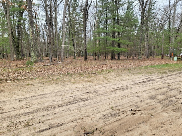 10675 N Shady Ln, Irons, MI 49644 - view of nature