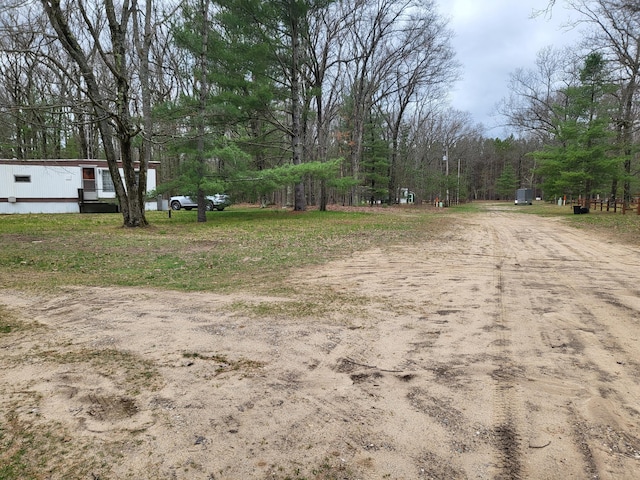 10675 N Shady Ln, Irons, MI 49644 - exterior space featuring a view of trees