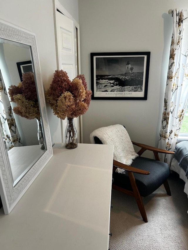 interior space with carpet