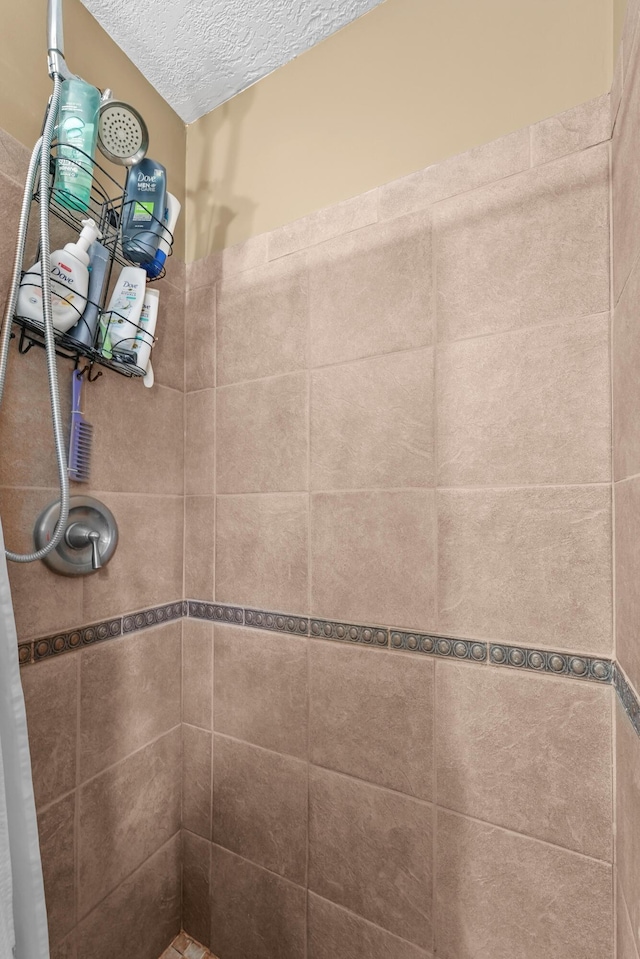 135 Alpena Trl, Houghton Lake, MI 48629 - bathroom view of a tile shower and a textured ceiling