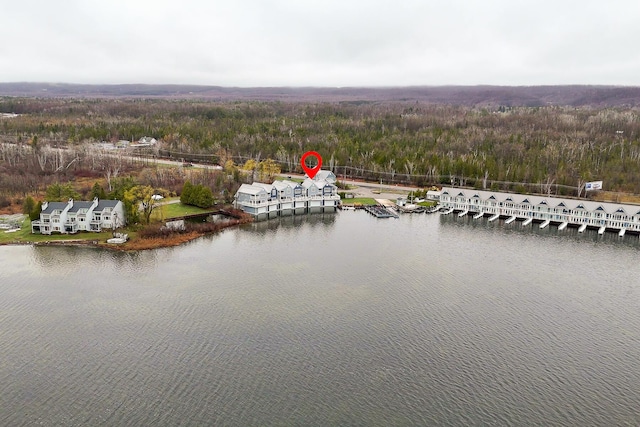 drone / aerial view of a forest and a nearby body of water