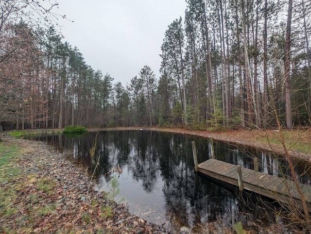 dock with a view of trees and a water view