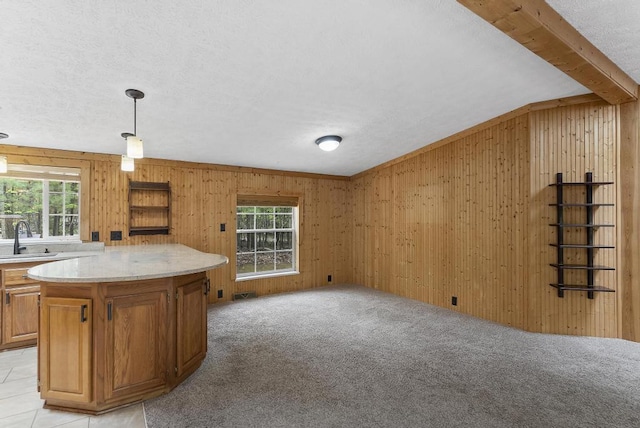 1505 Shawnee Dr, Indian River, MI 49749 - kitchen featuring wooden walls, healthy amount of natural light, light countertops, a sink, and light colored carpet