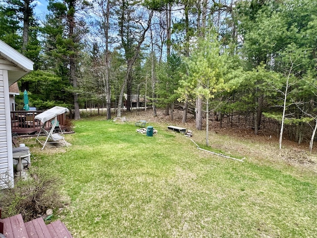 1243 Euclid Ave, Grayling, MI 49738 - view of green lawn