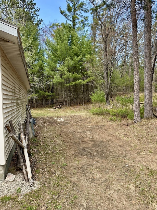 1243 Euclid Ave, Grayling, MI 49738 - view of yard