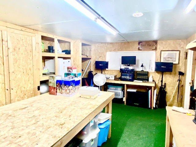 10328 Toohy Trl, Harrison, MI 48625 - view of storage