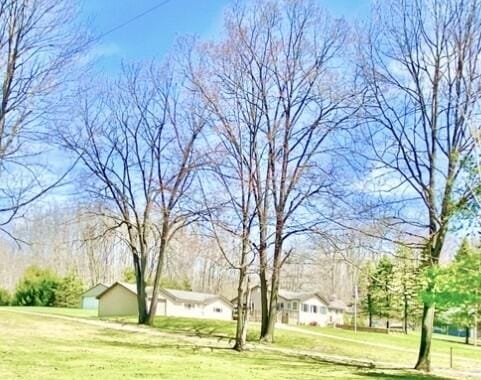 10328 Toohy Trl, Harrison, MI 48625 - view of green lawn