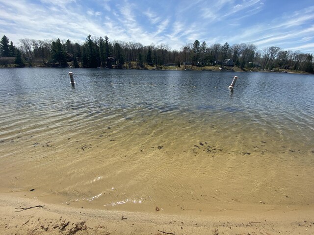 10328 Toohy Trl, Harrison, MI 48625 - water view