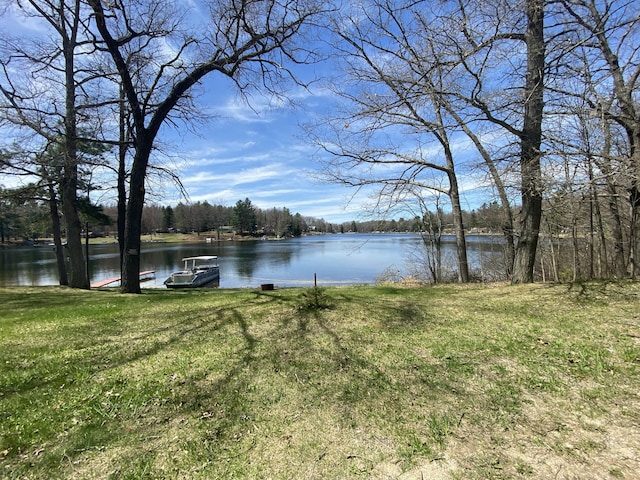 10328 Toohy Trl, Harrison, MI 48625 - water view