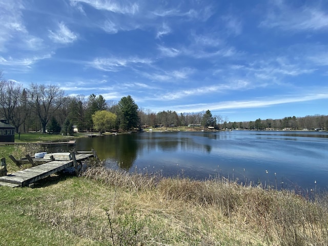 10328 Toohy Trl, Harrison, MI 48625 - dock featuring a water view