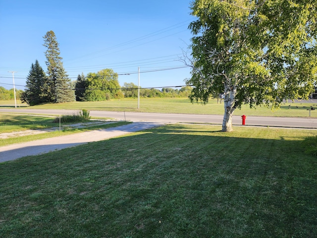 view of grassy yard
