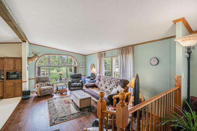 8978 Starvation Lake Rd, Mancelona, MI 49659 - living room featuring crown molding, wood finished floors, plenty of natural light, a textured ceiling, and lofted ceiling