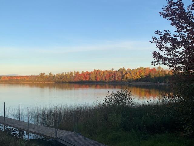 22412 S Wegwas Dr, Trout Lake, MI 49793 - photo 48