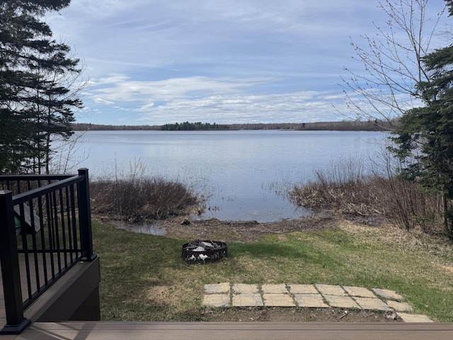 22412 S Wegwas Dr, Trout Lake, MI 49793 - photo 83