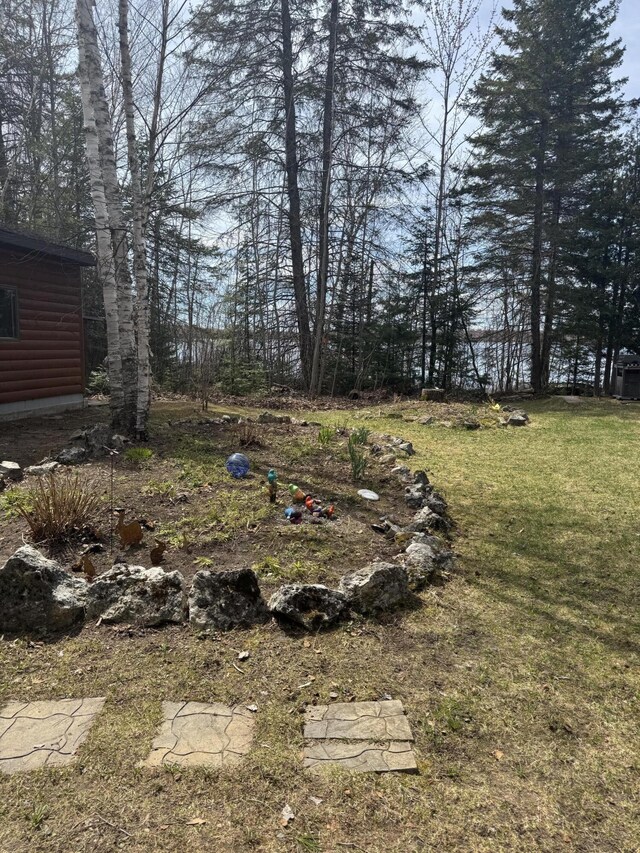 22412 S Wegwas Dr, Trout Lake, MI 49793 - photo 78