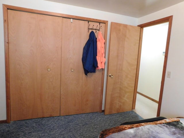 8727 S Oak Rd, Grayling, MI 49738 - view of closet