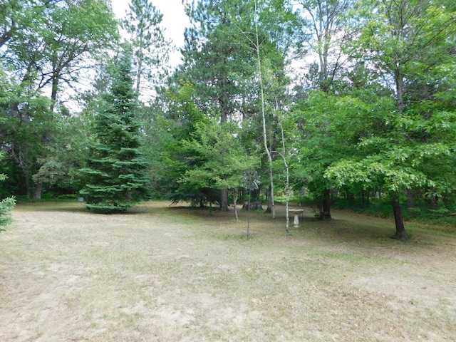 8727 S Oak Rd, Grayling, MI 49738 - view of yard
