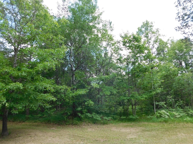 8727 S Oak Rd, Grayling, MI 49738 - view of local wilderness
