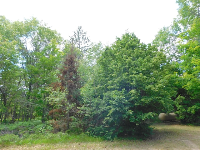 8727 S Oak Rd, Grayling, MI 49738 - view of local wilderness