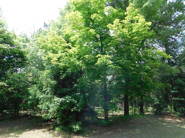 8727 S Oak Rd, Grayling, MI 49738 - view of woods