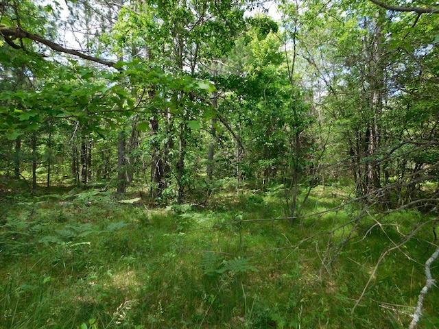 8727 S Oak Rd, Grayling, MI 49738 - view of woods