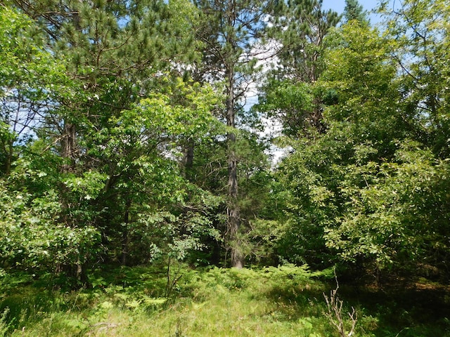 8727 S Oak Rd, Grayling, MI 49738 - view of wooded area