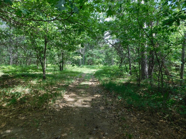 8727 S Oak Rd, Grayling, MI 49738 - view of tree filled area