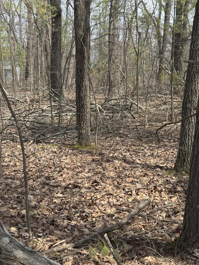 LOT4 Birch St, Lewiston, MI 49756