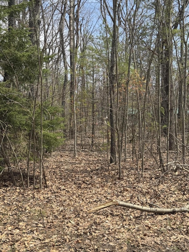 LOT4 Birch St, Lewiston, MI 49756