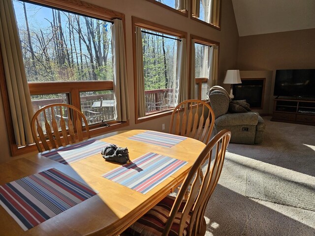 7368 Bob White Way, Gaylord, MI 49735 - photo 9