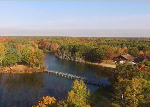 7368 Bob White Way, Gaylord, MI 49735 - photo 22