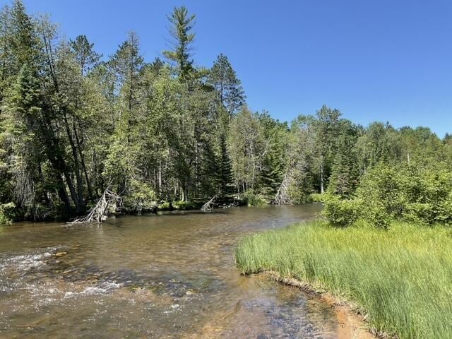 8842 Jackson Hole Trl, Grayling, MI 49738 - view of nature