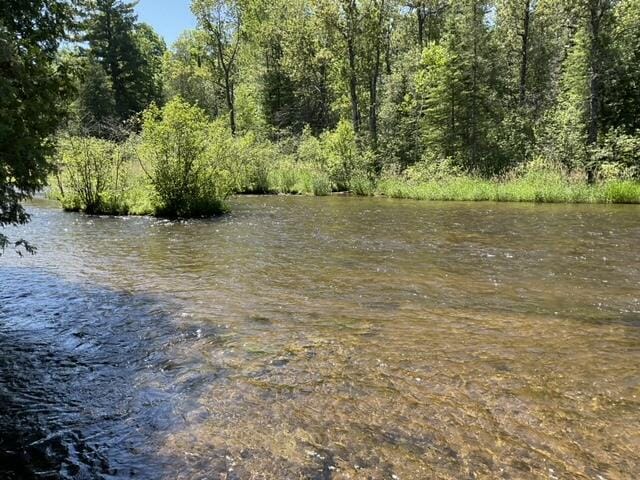 8842 Jackson Hole Trl, Grayling, MI 49738 - view of local wilderness