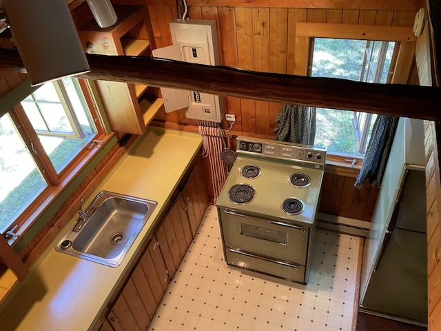 8842 Jackson Hole Trl, Grayling, MI 49738 - kitchen featuring a sink, healthy amount of natural light, wood walls, electric stove, and light floors