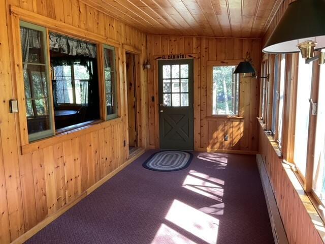 8842 Jackson Hole Trl, Grayling, MI 49738 - doorway to outside with wood walls, wood ceiling, and carpet floors